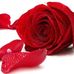 Rosemary Mccormick - Facebook