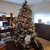 Rosemary McCormick- Becker - Facebook