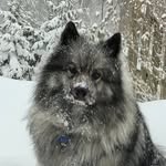 Rosemary Wignall-McLean - @wignallmclean - Instagram