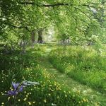rosemary_meadows - @rosemary_meadows_ - Instagram