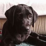 Rosemary Meadows - @rosemarymeadows - Instagram