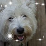 Rosemary Messer Strassburg - @rosemary_messer_strassburg - Instagram