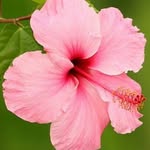 Rosemary Bell Meyer - @rmeyer4650 - Instagram