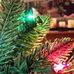 Rosemary Meyer - Facebook
