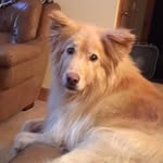 Rosemary Meyer - @rosemary.meyer.777 - Instagram