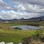 Rosemary O Neill - @rosemary.oneill.39982 - Instagram