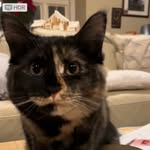 Rosemary O Neill - @rosemaryo_neill - Instagram