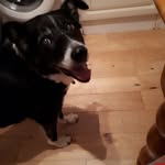 Rosemary O'Neill - @rmyoneill59 - Instagram