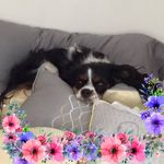 Rosemary Ritchie - @rosie150453 - Instagram