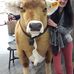 Rosemarie Schuster - Facebook