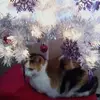 rosemaryschusterm - @rosemaryschusterm - TikTok