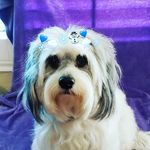 Rosemary serrano - @gloria60011877 - Instagram