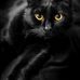 Rosemary Serrano - Facebook