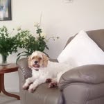 Rosemary Sutherland - @rosemarysutherland5 - Instagram