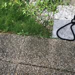 Rosemary Sutherland - @rosemary.sutherland.351 - Instagram