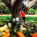 Rose Mary Sutter - @rosemarysutter - Instagram