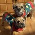 Rosemary Thomson - Facebook