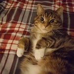 Rosemary Thomson - @thomson4719 - Instagram