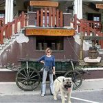 Rosemary Thomson - @wizzytosh - Instagram