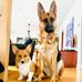 Rosemary Thomson - Facebook