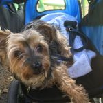 Rosemary Wade - @mary_of_rose - Instagram