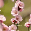 Rosemary Ward - @rosemaryward07 - TikTok