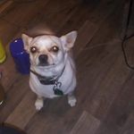 Rosemary Ward - @rosemary.ward.391 - Instagram