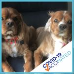Rosemary Ward - @rosemary.ward.505 - Instagram