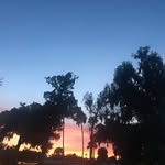 Rosemary Weaver - @rosemary_weaver - Instagram