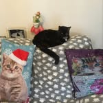 Rosemary Webb - @rosemarywebb2885 - Instagram