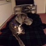 Rosemary Webb - @rosemarykwebb - Instagram