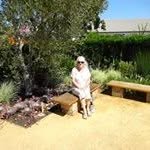 Rosemary Wheaton - @rosemarywheaton - Instagram