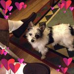 Rosemary Wasch Williamson - @rosemary.williamson9 - Instagram