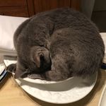 Rosemary Williamson - @rosemary.williamson.79 - Instagram