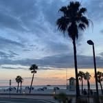 Rosemary Willis - @rosemarywillis16 - Instagram