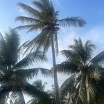 Rosendo Muñoz - @munoz.rosendo - Instagram