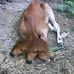 Rosendo Muñoz - Facebook