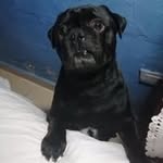 Rosendo Ojeda - @rosendo280863 - Instagram
