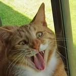 Rosetta Donaldson - @donaldsonrosetta - Instagram