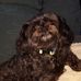 Rosetta Donaldson - Facebook