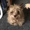 Rosey_dorsett - @rosey_dorsett - TikTok