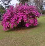 Rosetta Hall - Facebook