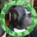 Retta Hunt - Facebook