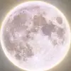 Rosetta - @rosetta.may - TikTok