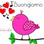 Rosetta Oliverio Rosetta - @rosettaoliveriorosetta - Instagram
