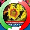 rosettarizzo887 - @rosettarizzo887 - TikTok