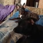 Rosetta Rowe - @rosettareed20 - Instagram