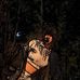 Rosetta Spencer - Facebook