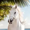 Roseetta Springer - @roseetta.springer - TikTok