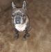 Rosetta Watson - Facebook